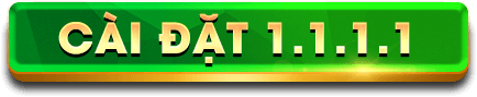 Cài đặt VPN 1.1.1.1